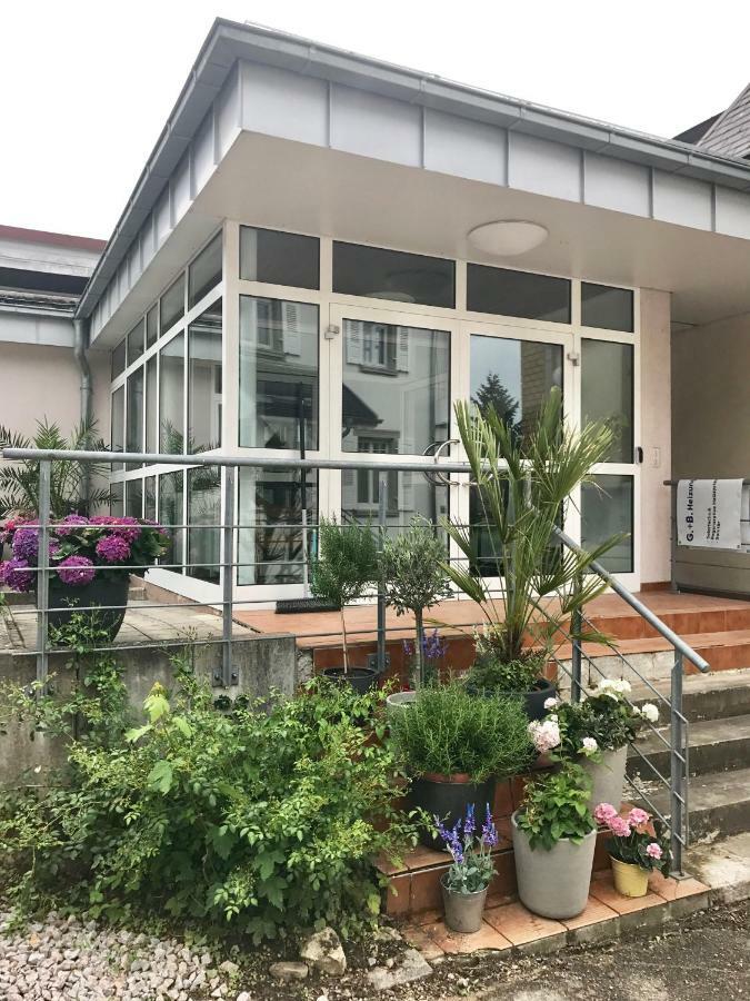 Apartment Kandern Zewnętrze zdjęcie